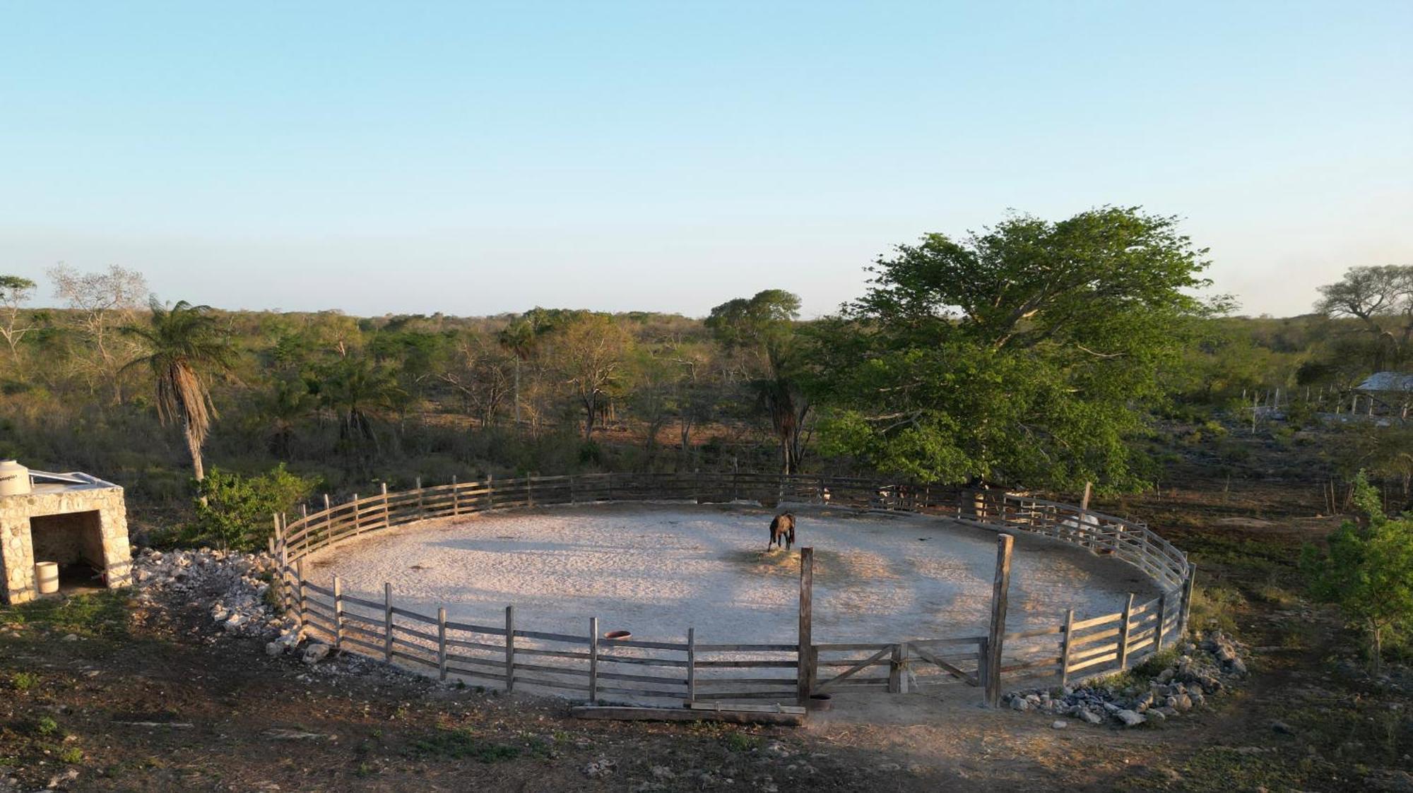 فيلا Casitas At Rancho Kuxtal تيسيمين المظهر الخارجي الصورة