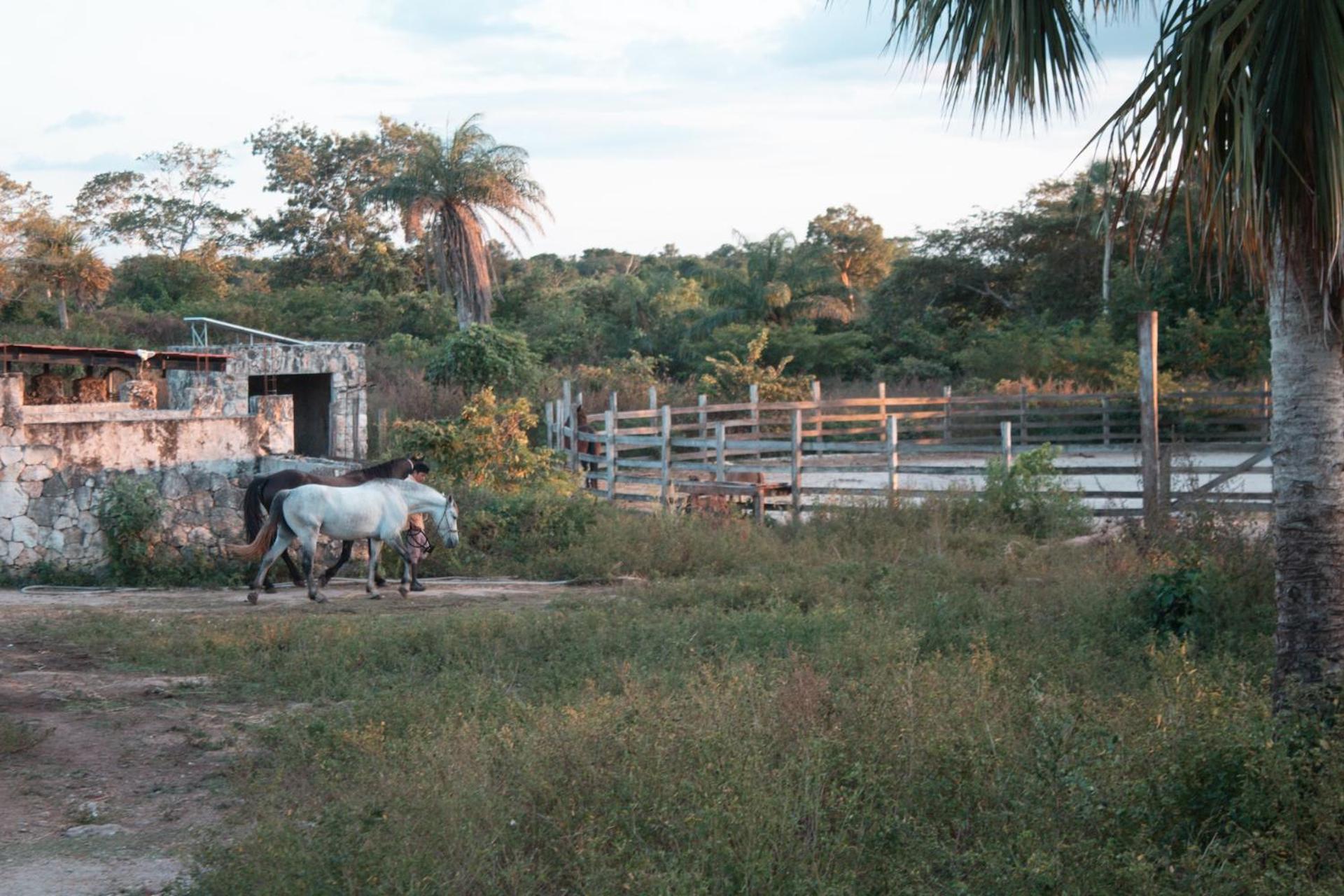 فيلا Casitas At Rancho Kuxtal تيسيمين المظهر الخارجي الصورة