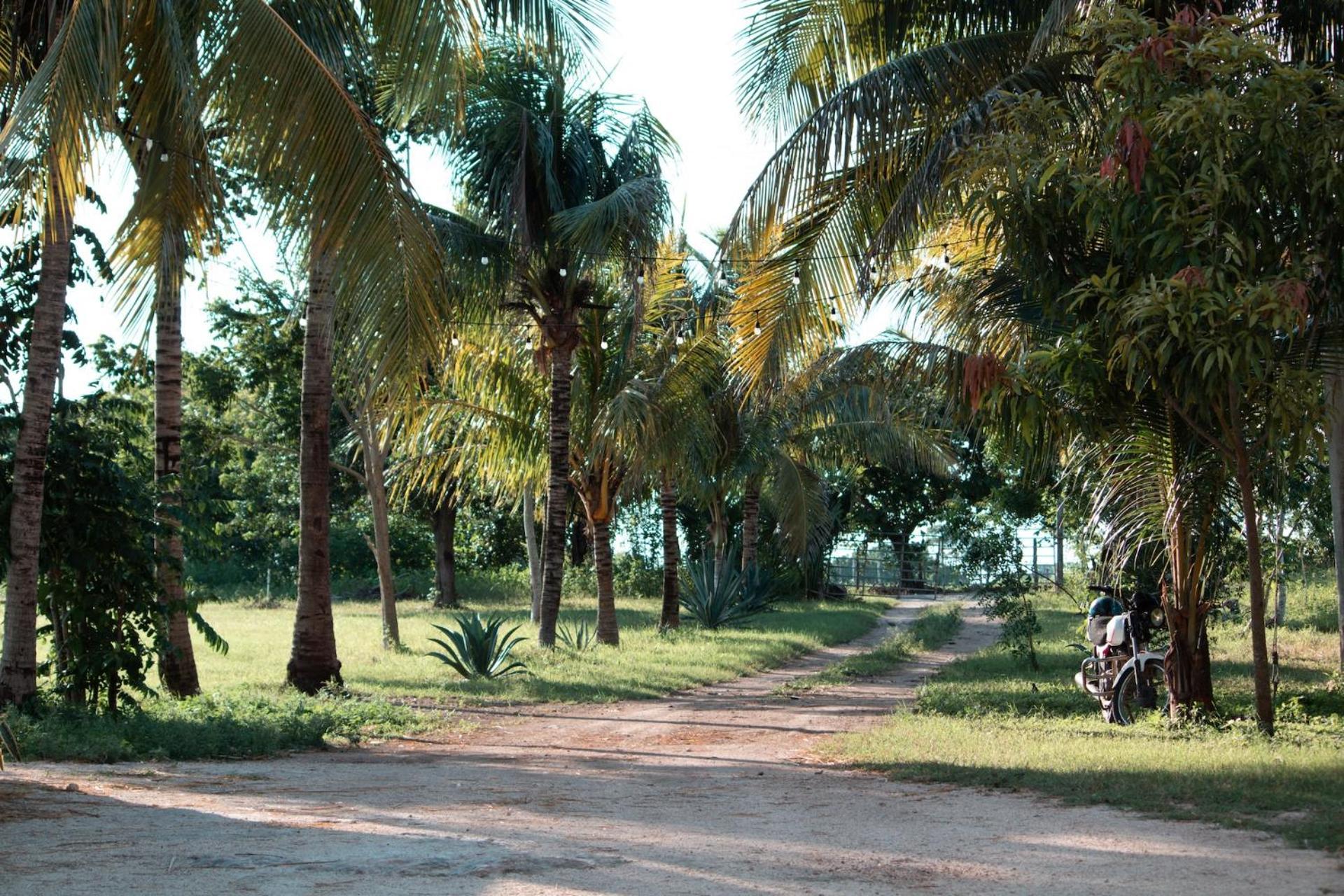 فيلا Casitas At Rancho Kuxtal تيسيمين المظهر الخارجي الصورة
